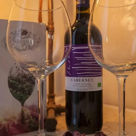 Rogiual Гостевой дом Рим